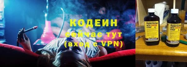 молекула духа Алзамай