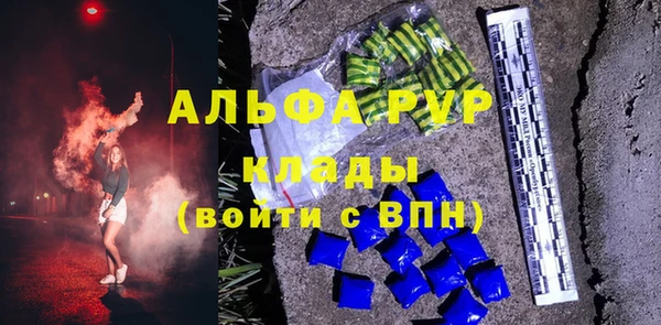 индика Алексин
