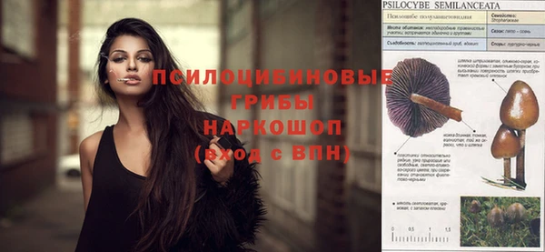 индика Алексин