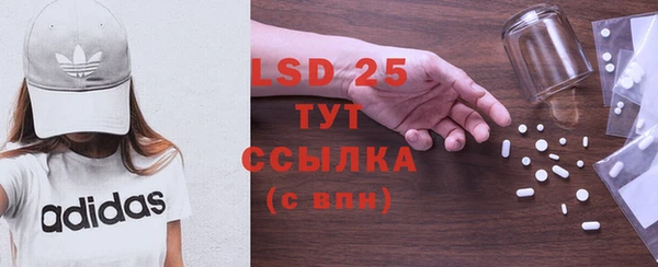 индика Алексин