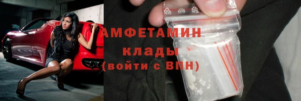 индика Алексин