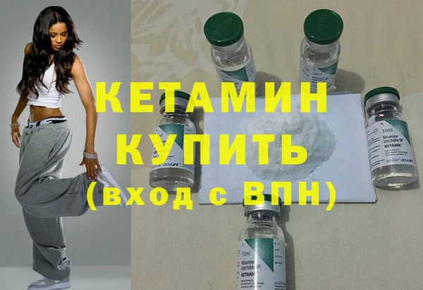 индика Алексин