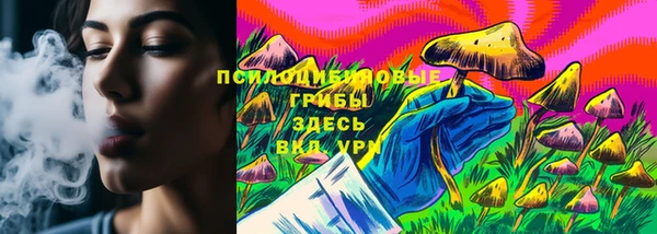 молекула духа Алзамай