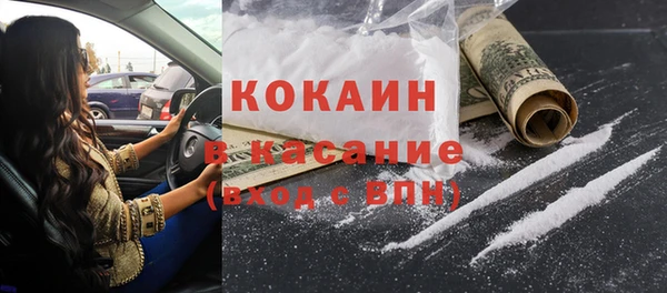 индика Алексин