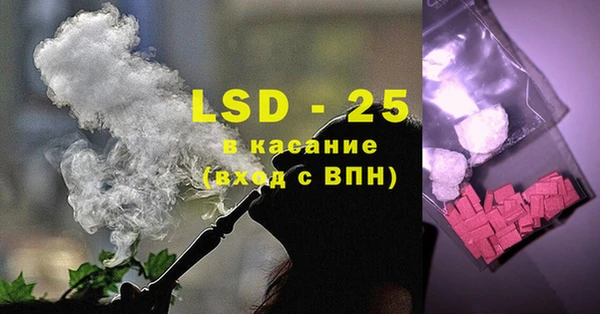 индика Алексин