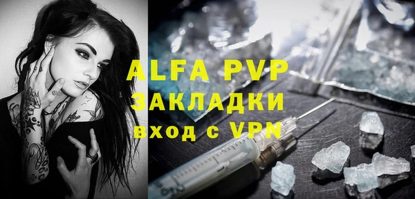 индика Алексин