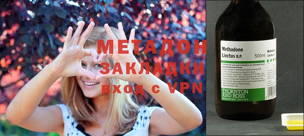 индика Алексин